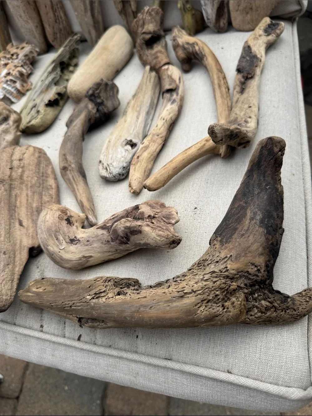 22 pcs(5lb shipped)Natural Driftwood & Beach Wood Accent Collection decor, craft